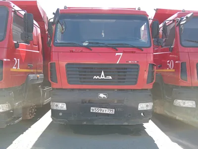 МАЗ 6501* 6x4 Самосвал