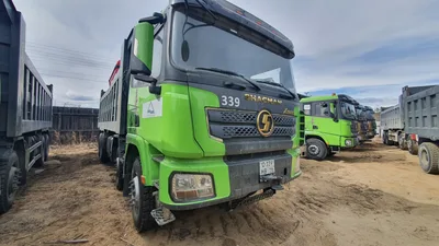 Shacman (Shaanxi) SX* 8x4 Самосвал