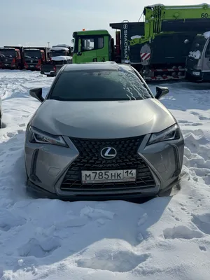 Lexus UX200