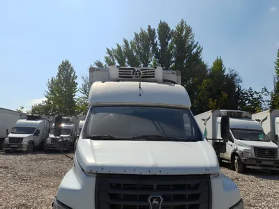 Луидор-Тюнинг 3010* на шасси GAZ GAZON NEXT Изотермический/рефрижератор_не актуально