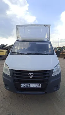 Луидор-Тюнинг 3009* на шасси GAZ GAZELLE NEXT Промтоварный_не актуально