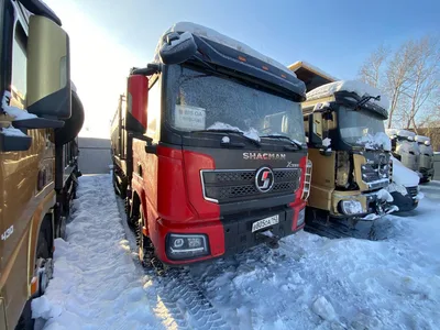 Shacman (Shaanxi) SX* 8x4 Самосвал
